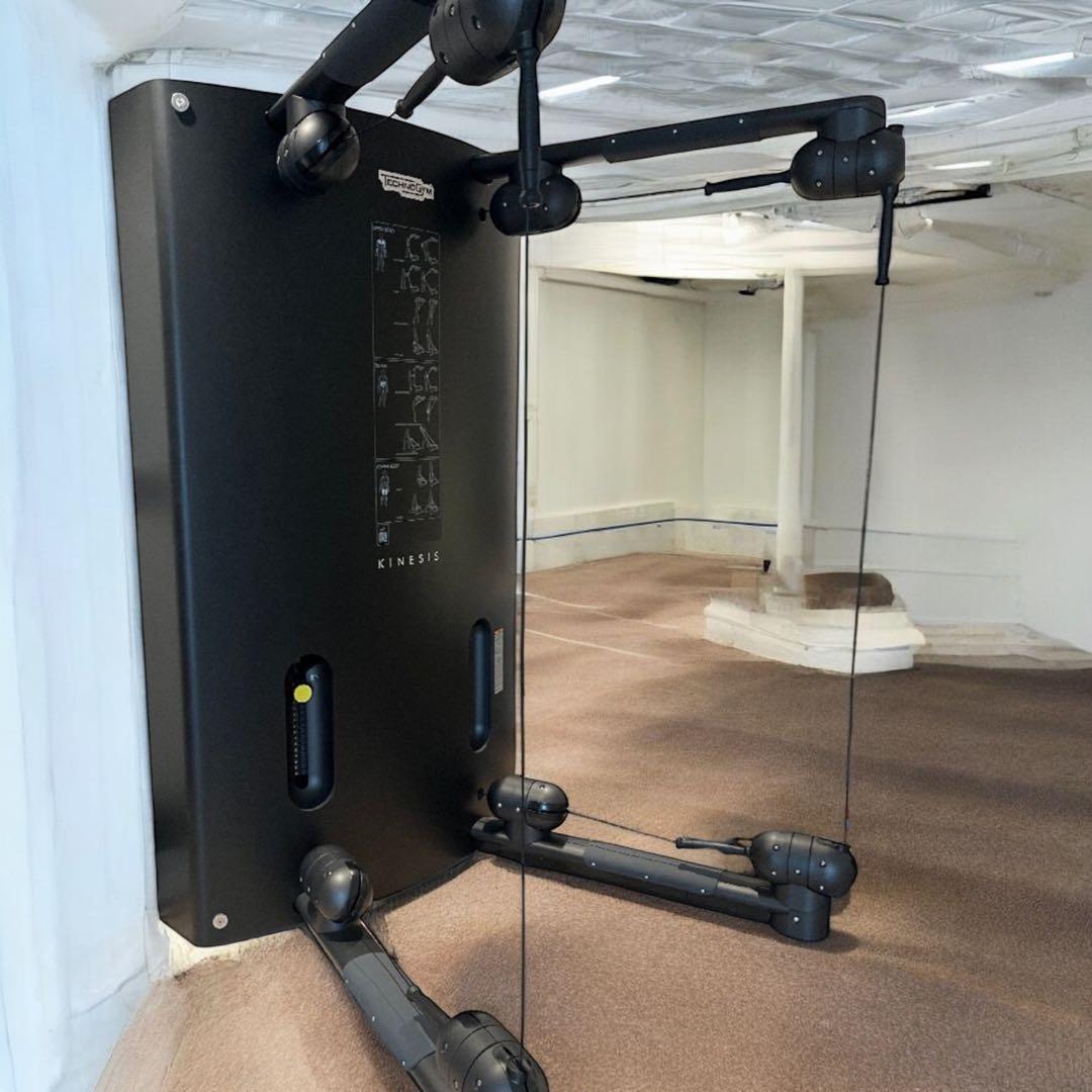 お値下げ！美品！テクノジム　キネシスワン！珍しいブラックでオシャレです！