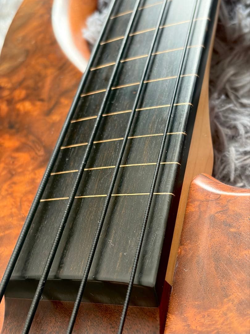 STR LS44P #435 フレットレスベース