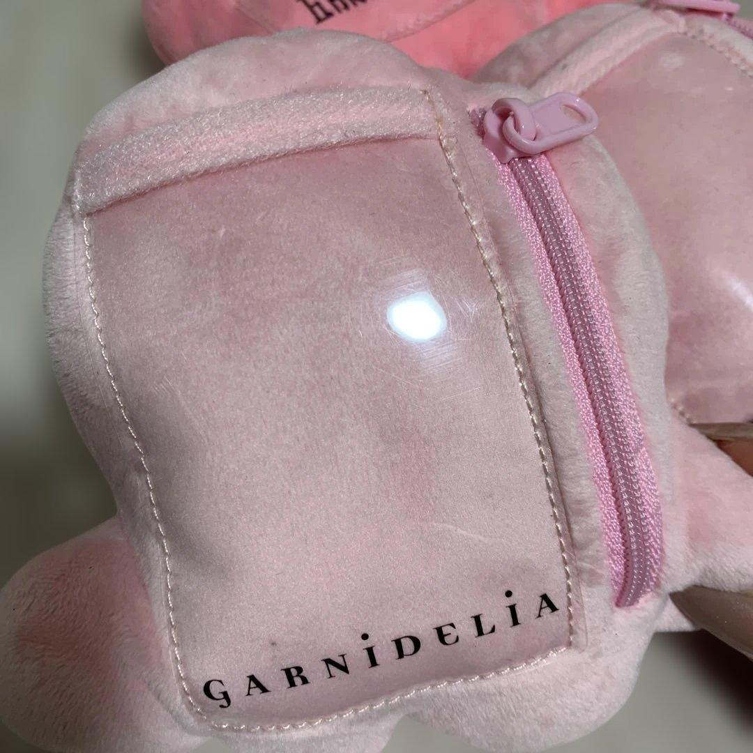 GARNiDELiA カミサマ　ポーチ　パスケース 美依礼芽