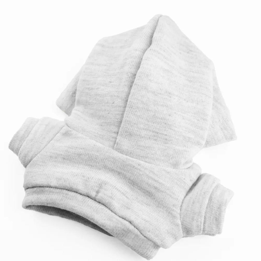 映画ギヴン バンドロゴ ビッグシルエットパーカー 人間&ぬいぐるみサイズのセット