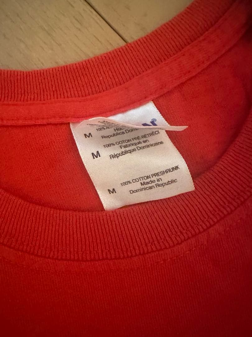 ビョーク biophilia Tシャツ