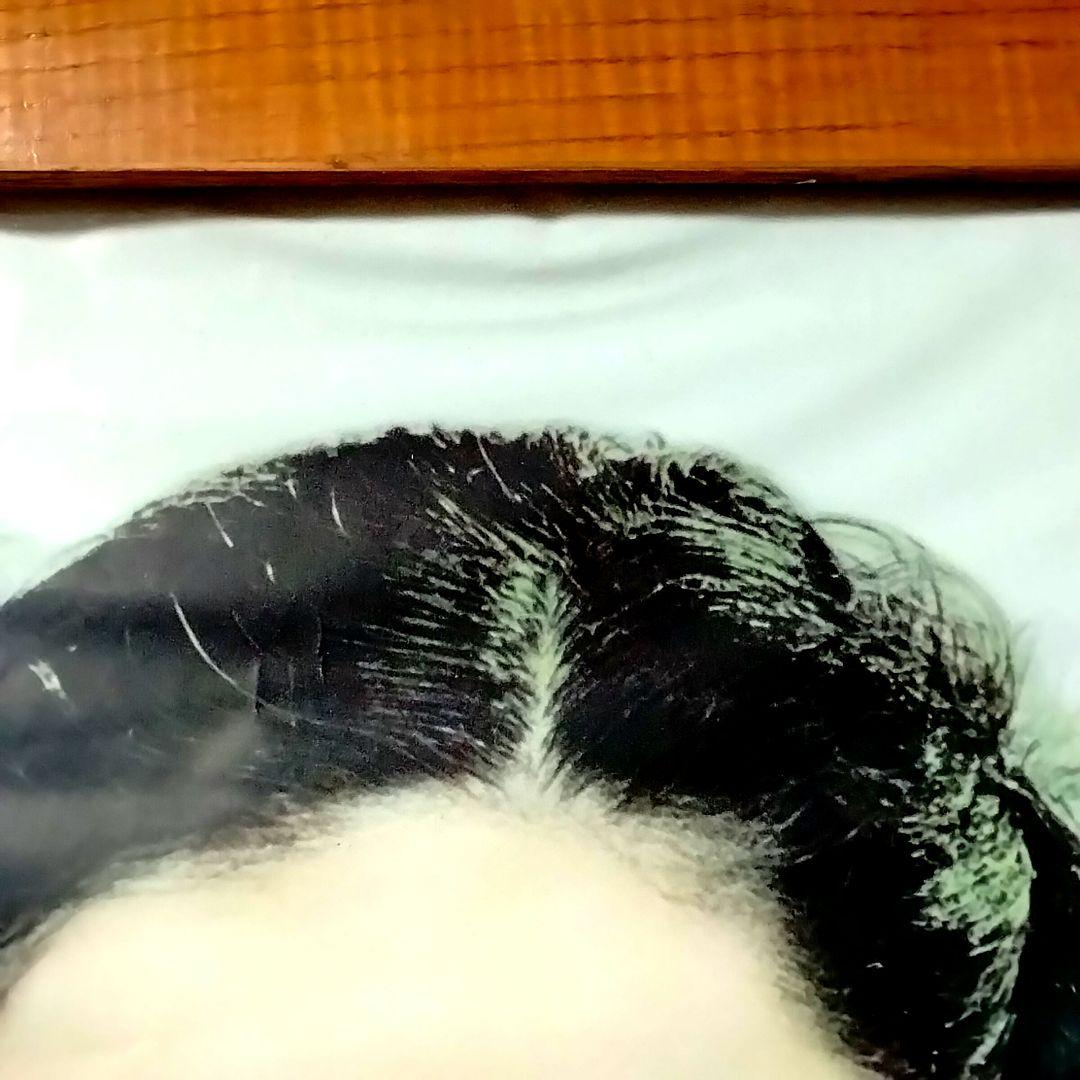 ★伝説の女優★原節子★昭和20年代★黒龍クリーム 看板★おまけ付★昭和レトロ★