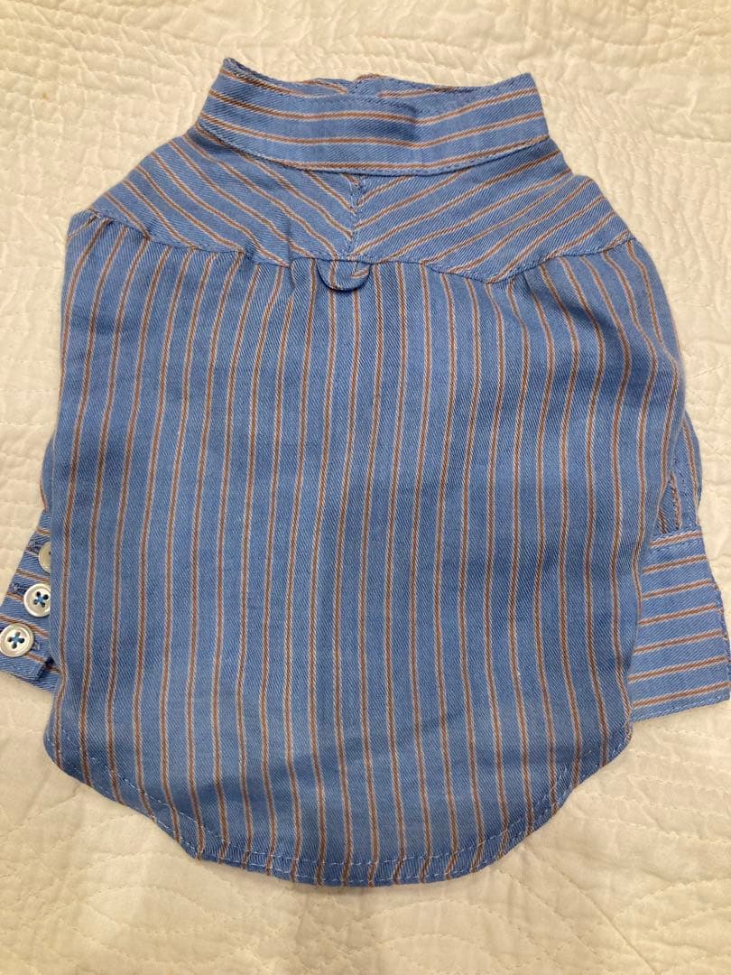 atelier gg ボタンいっぱい 凝ったデザイン シャツ