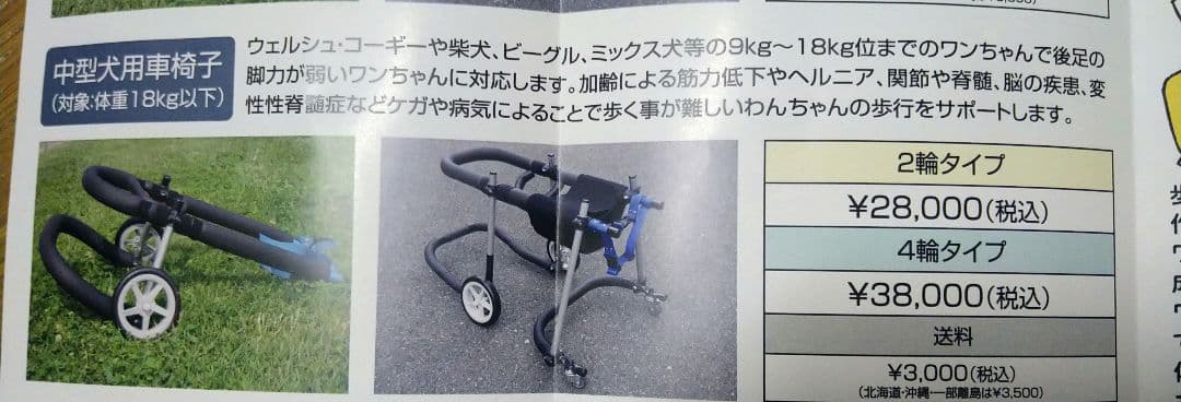 歩犬舎　犬用車椅子歩行器中型犬用オーダーメイド２輪老犬介護　新品