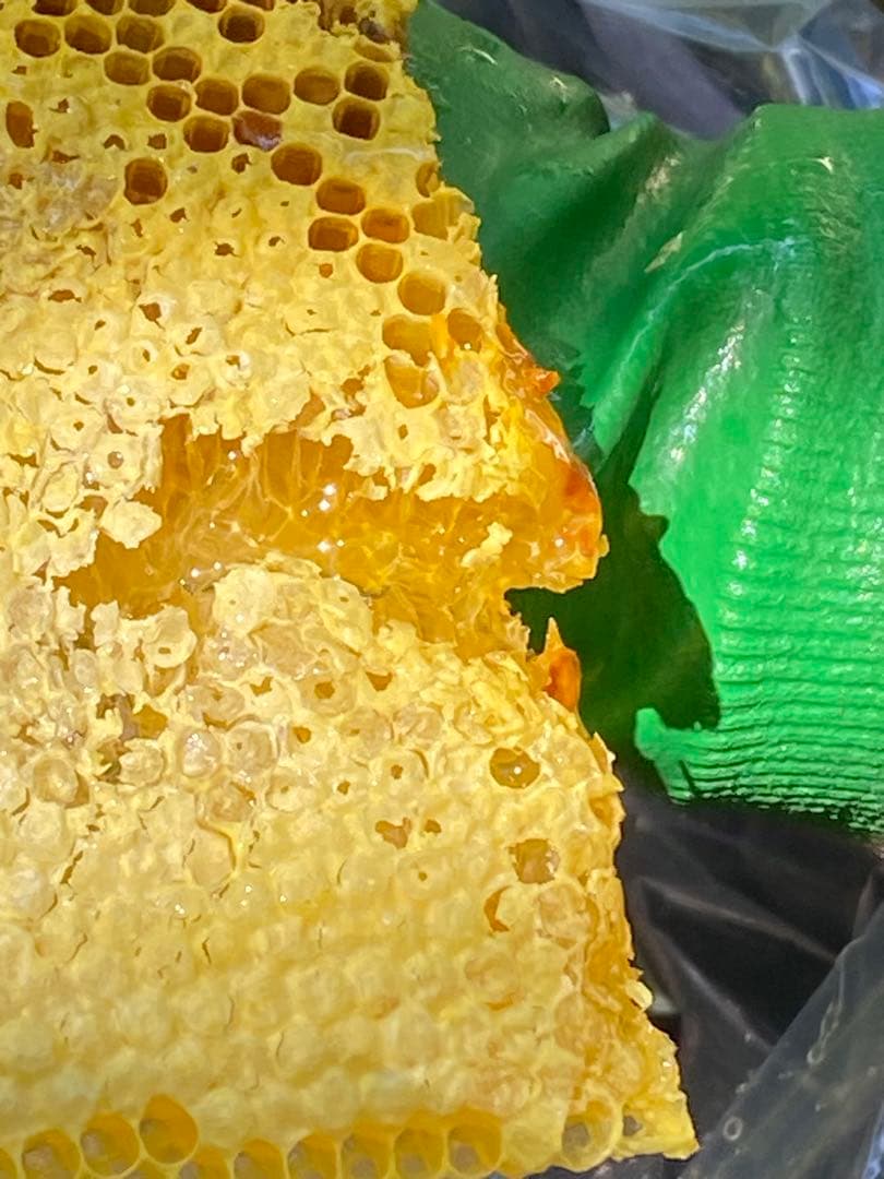 はちみつ　日本蜜蜂のハチミツ　奥山の奥の蜂蜜　国産蜂蜜愛媛産　２種