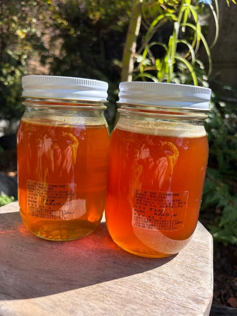 はちみつ　日本蜜蜂のハチミツ　奥山の奥の蜂蜜　国産蜂蜜愛媛産　２種