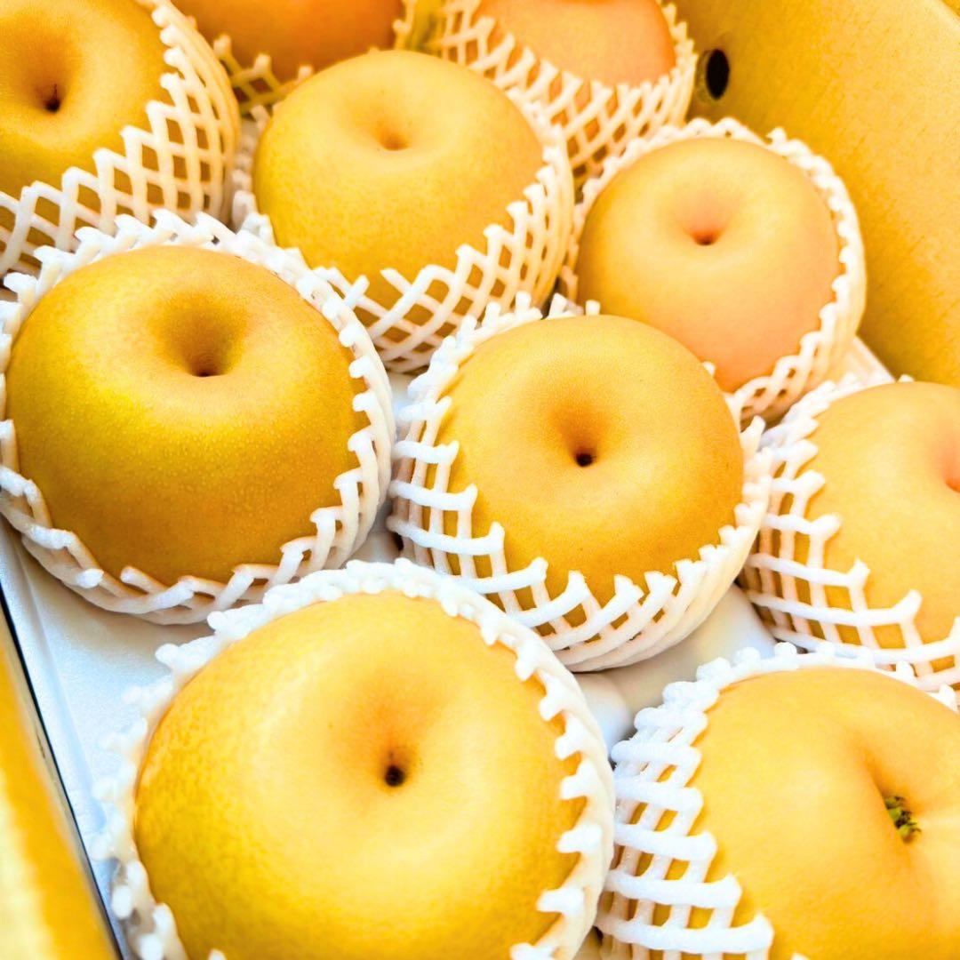 梨　新高梨　10玉　　26