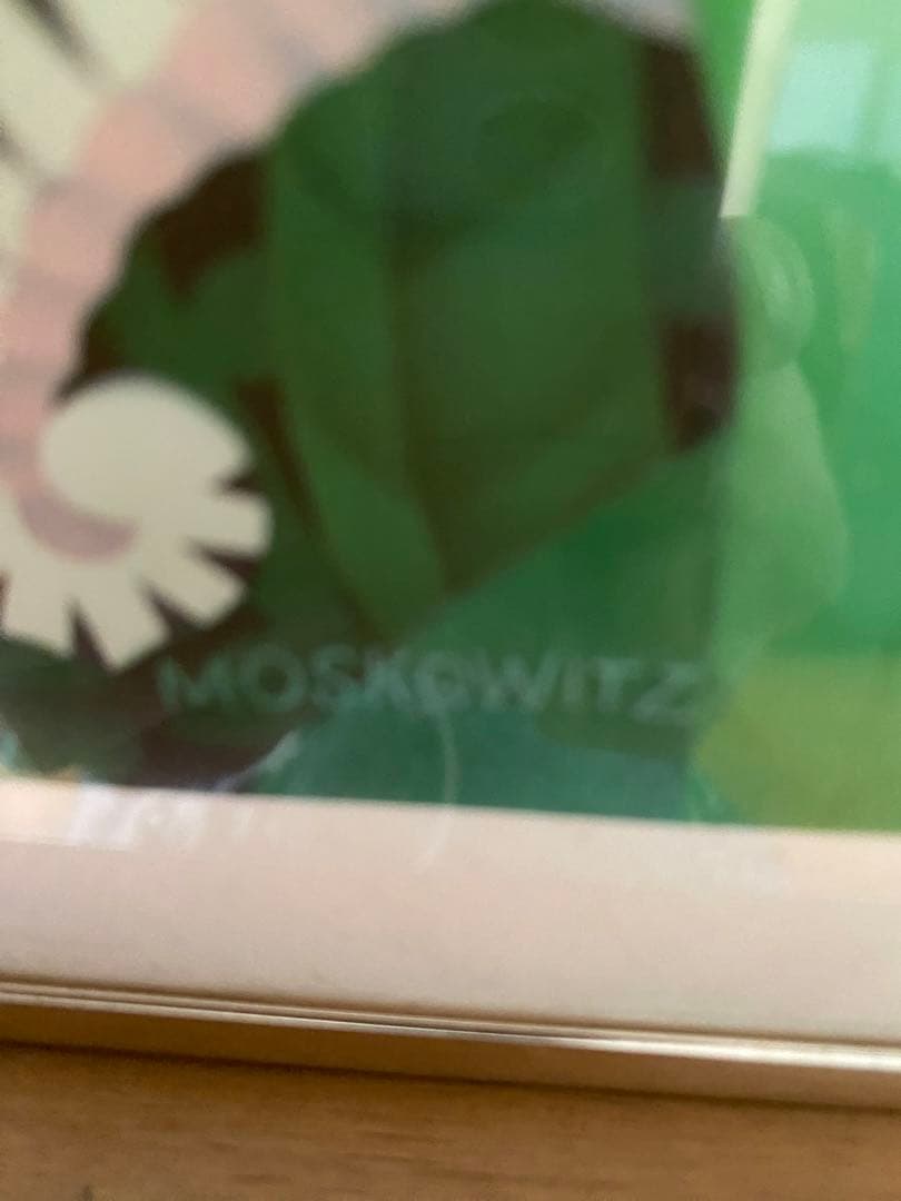 スチュアート・マスコウィッツ✨ジャングルフィッシュ✨額縁入りポスター✨稀少品♫