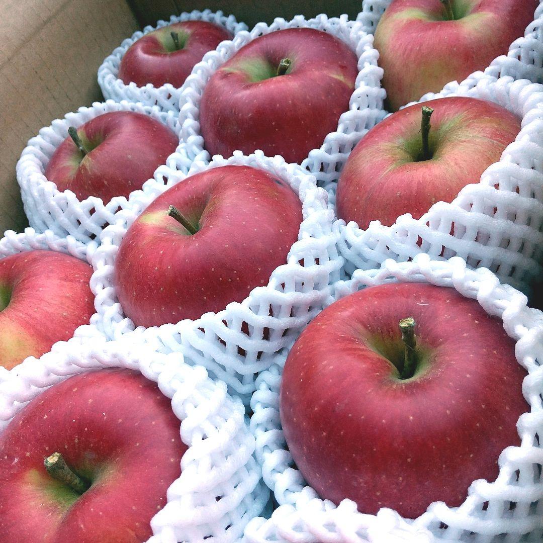 お得　高糖度のシナノスイート10k じぃじの美味しい林檎