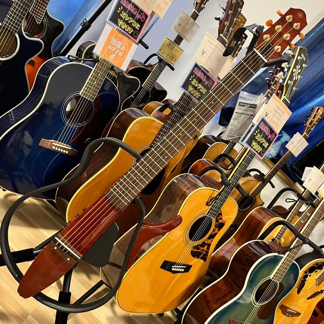 【11172】限定モデル YAMAHA SLG110S fm rtb