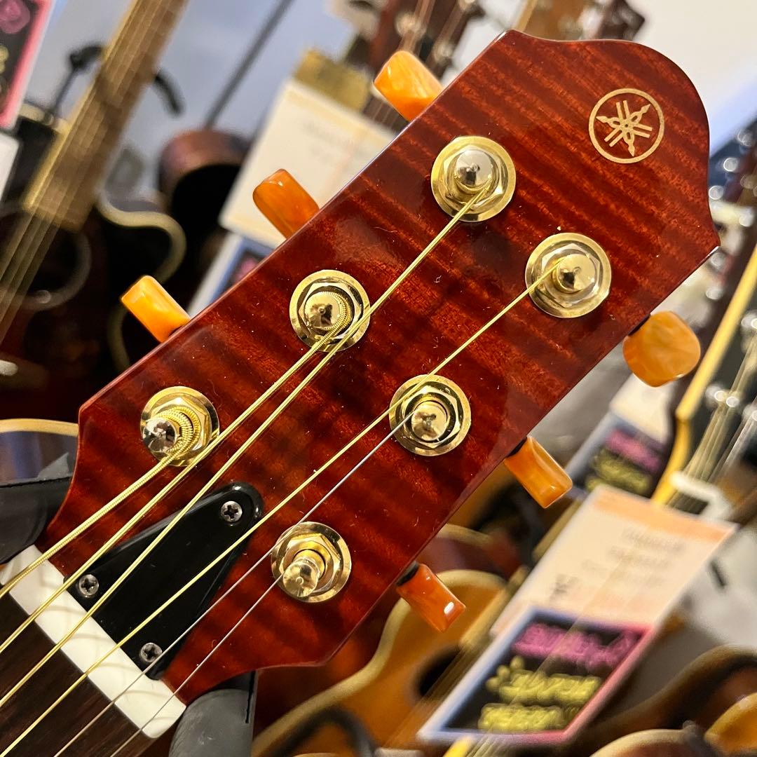 【11172】限定モデル YAMAHA SLG110S fm rtb