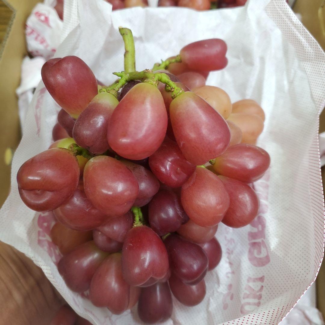 2️⃣0️⃣ 山梨県産 マイハート ９房入り 箱込み5.6キロ