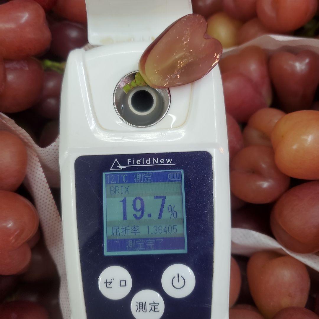 2️⃣0️⃣ 山梨県産 マイハート ９房入り 箱込み5.6キロ