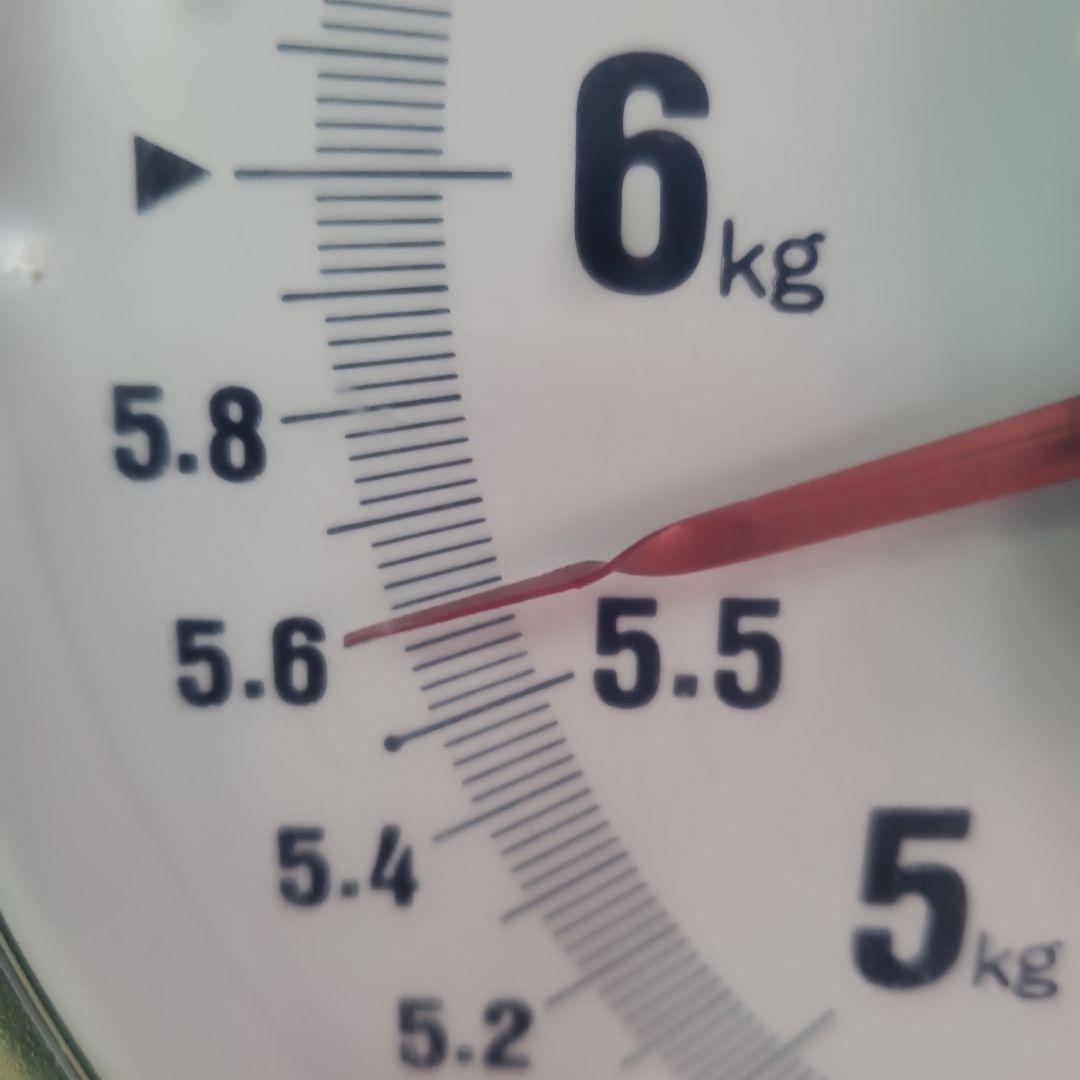 2️⃣0️⃣ 山梨県産 マイハート ９房入り 箱込み5.6キロ