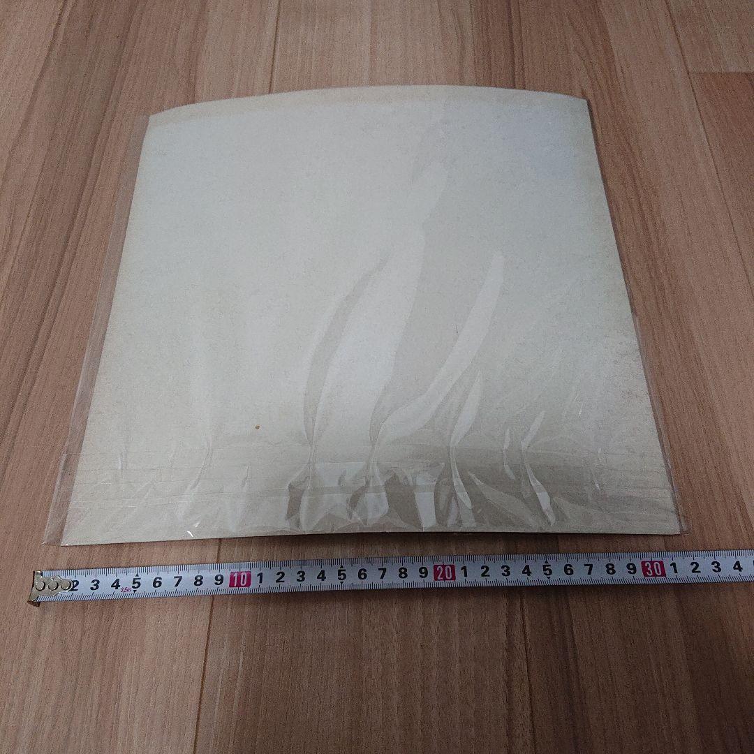 森高千里　ポートレート　大型写真