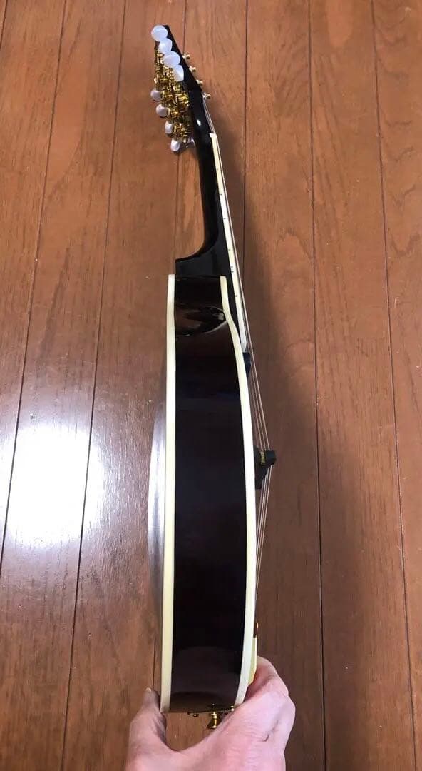 ノーブランドの￼￼エレクトリックフラットマンドリン￼