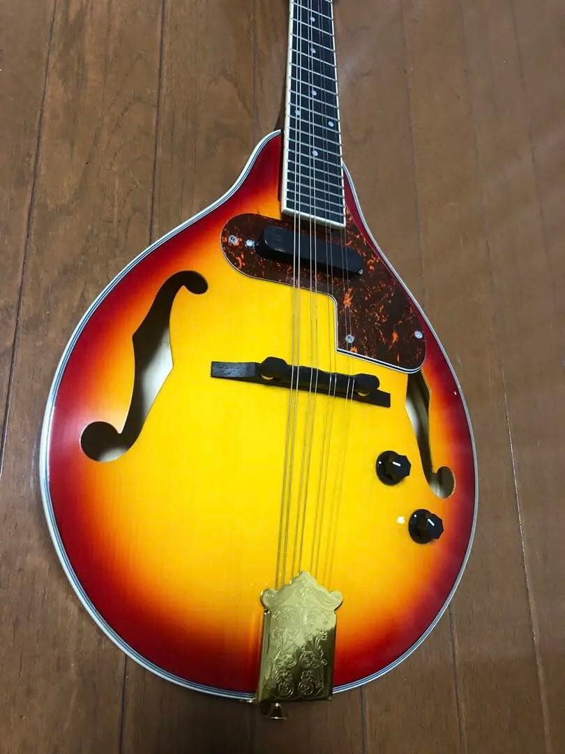 ノーブランドの￼￼エレクトリックフラットマンドリン￼