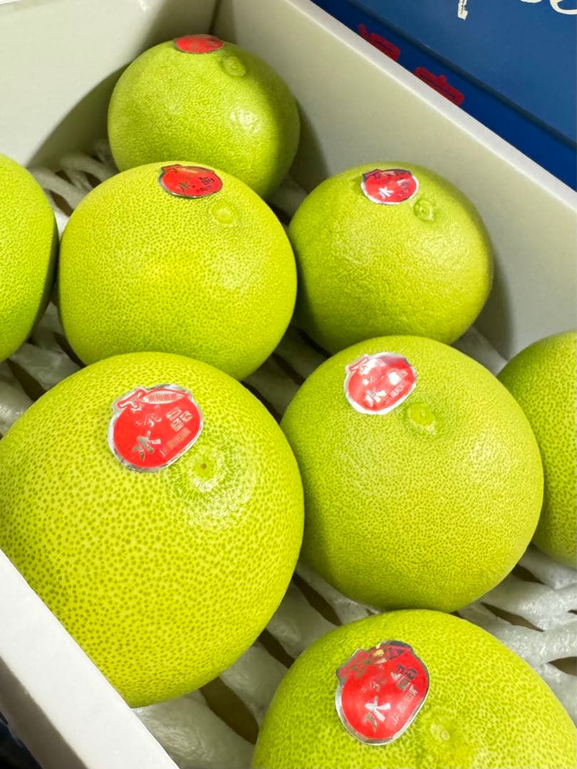 22高知特産 水晶文旦 8～6玉入 約3kg ×8箱