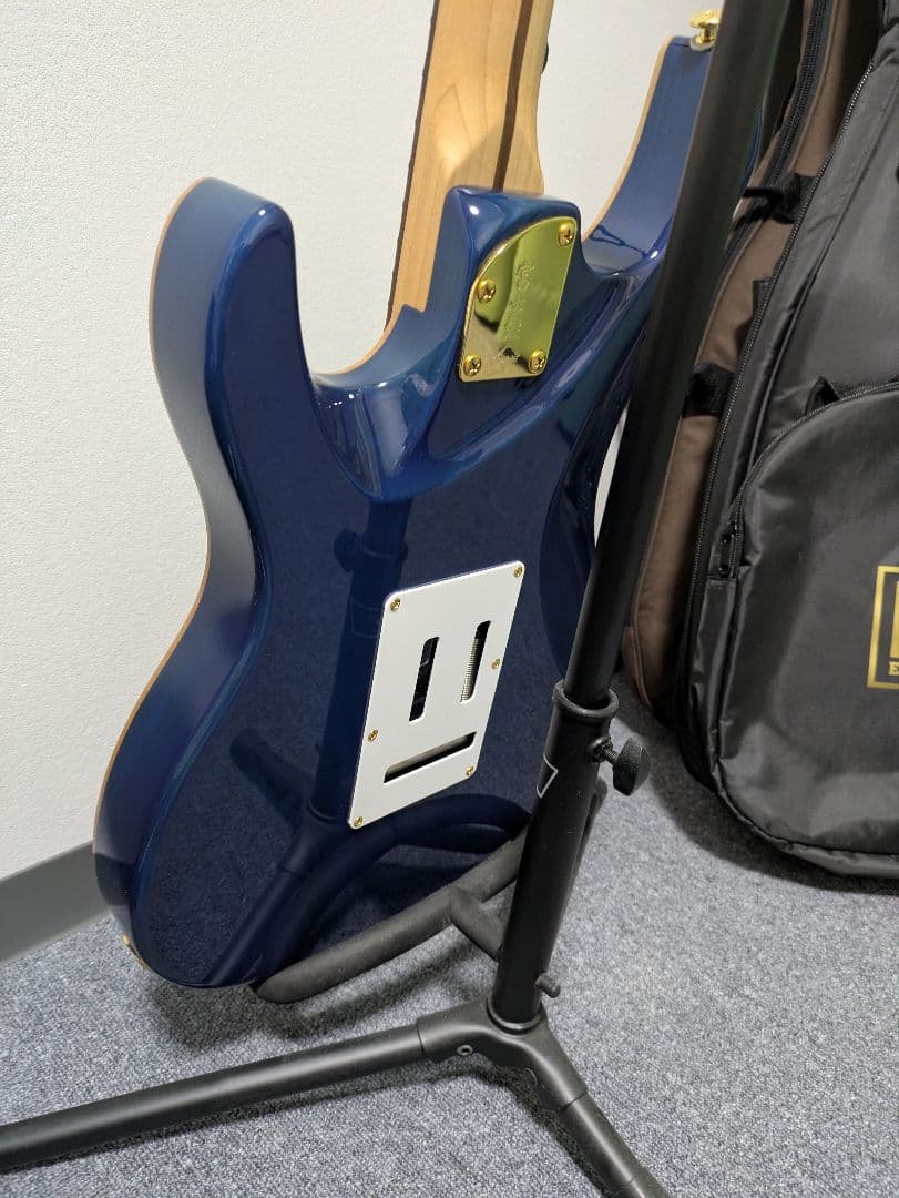 Fujigen EOS2-FM-R/NBG ギター