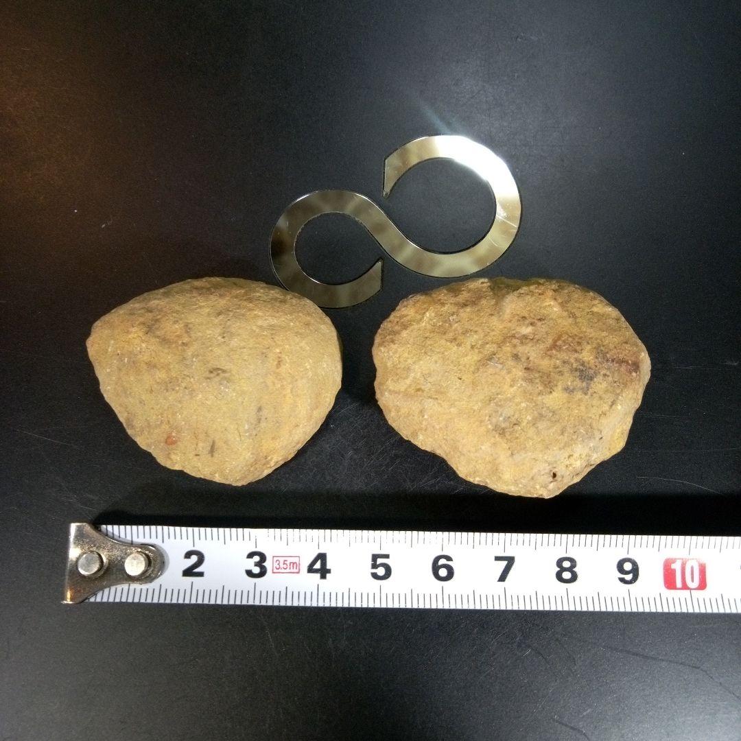 三葉虫　化石　fossil　海　ボリビア産　trilobite　レア　化石№⑩