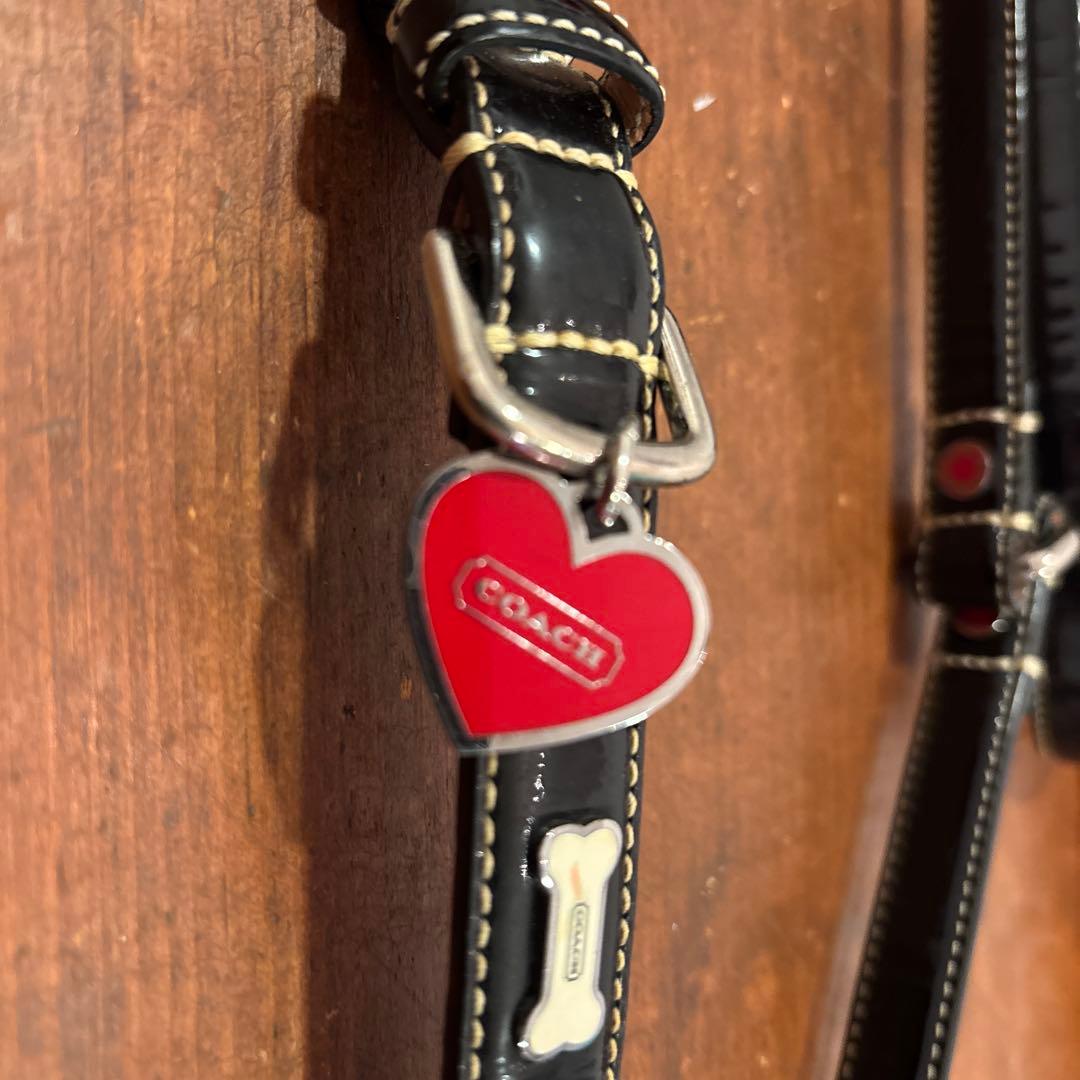 COACHレザー 犬用リードと首輪セット