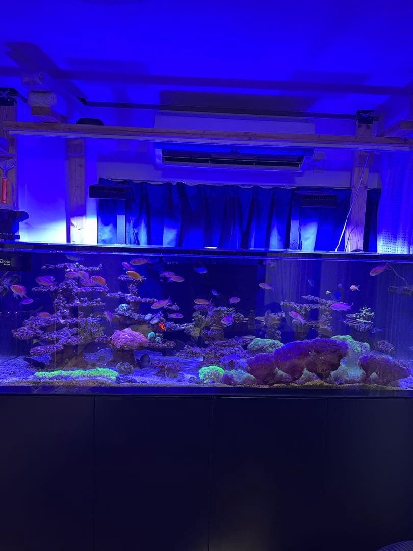 レッドシー　S-1000フルセット