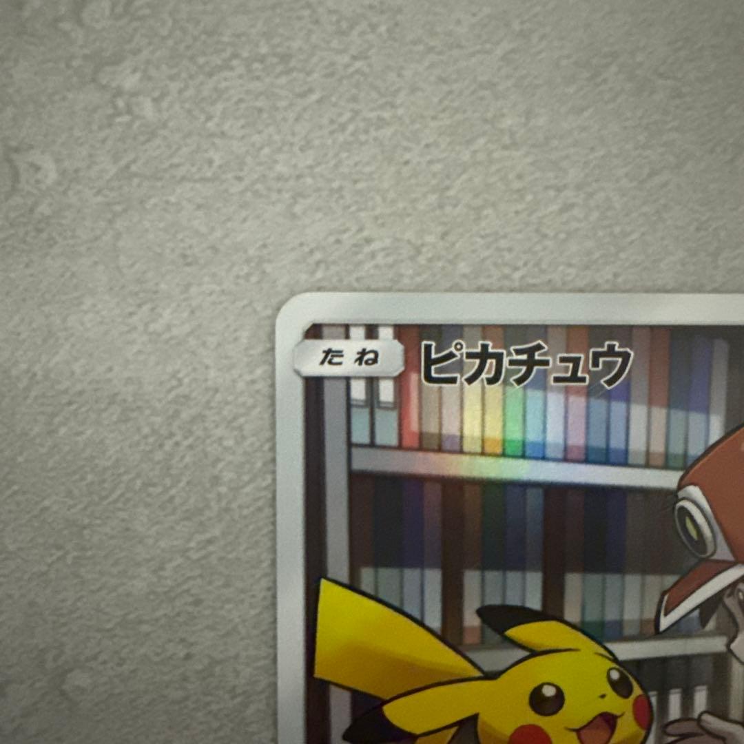 ピカチュウCHR/ポッチャマCHR/マニューラCHR 3点セット