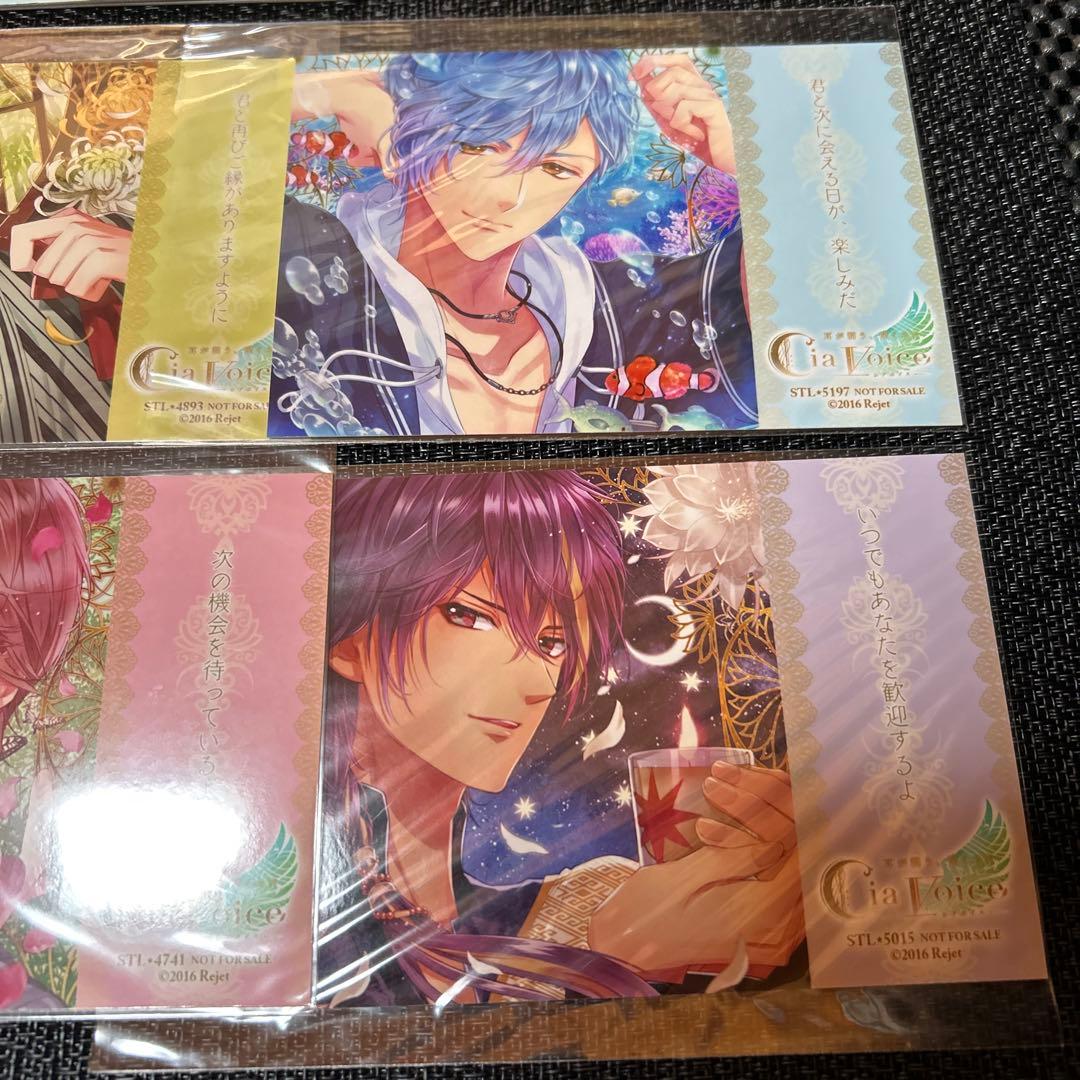 シアボイス ステラワース連動購入特典小冊子 ブロマイド　rejet