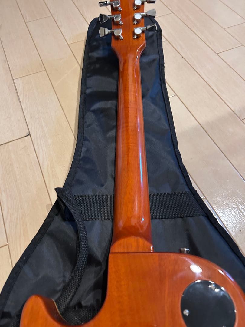 ギター Bacchus Limited Edition BLP-STD 1956 GT