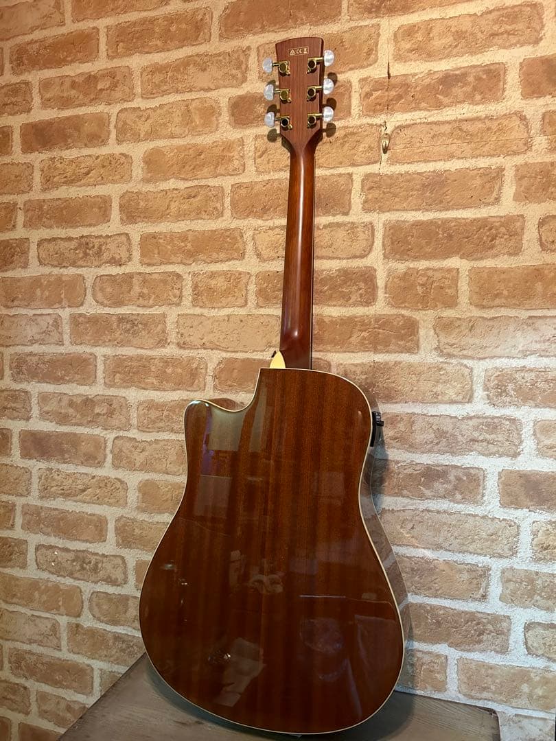 アイバニーズ・エレクトリックアコースティックギター(マホガニーボディー)