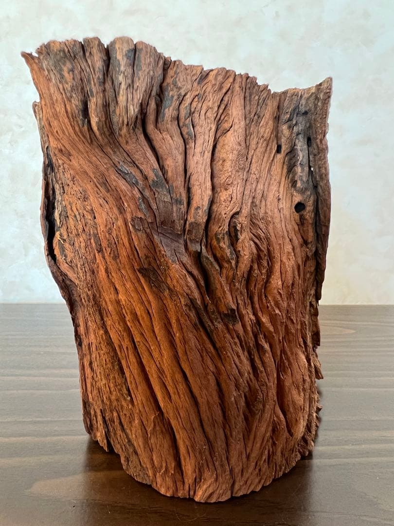 HX-007流木　空洞　爬虫類　アクアリウム　アクアテラリウム　即沈水