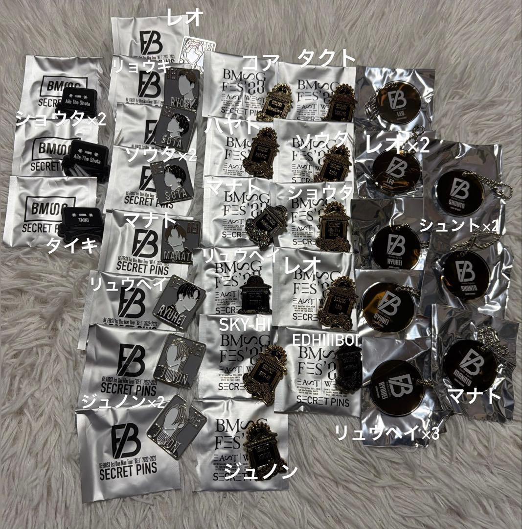 BMSGピンズ＆キーホルダー