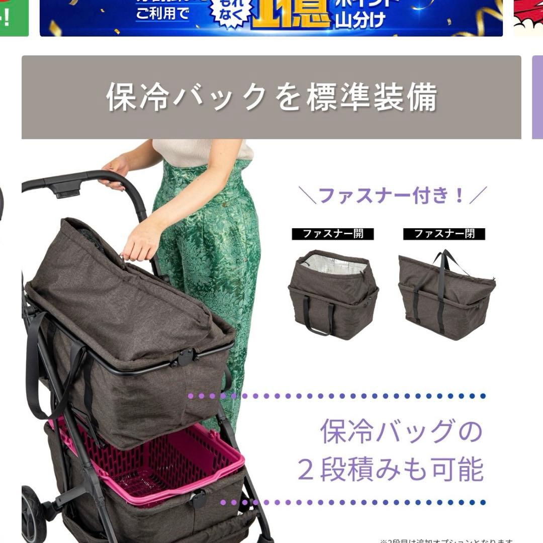 エコカ　エクセラ　定価33,800円