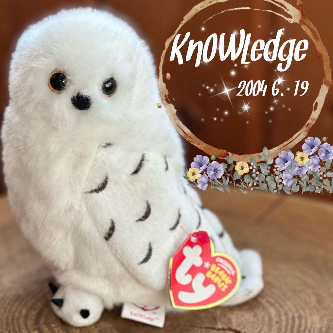 【希少•入手困難】tyビーニーベイビーズ 白フクロウぬいぐるみ　※限定品