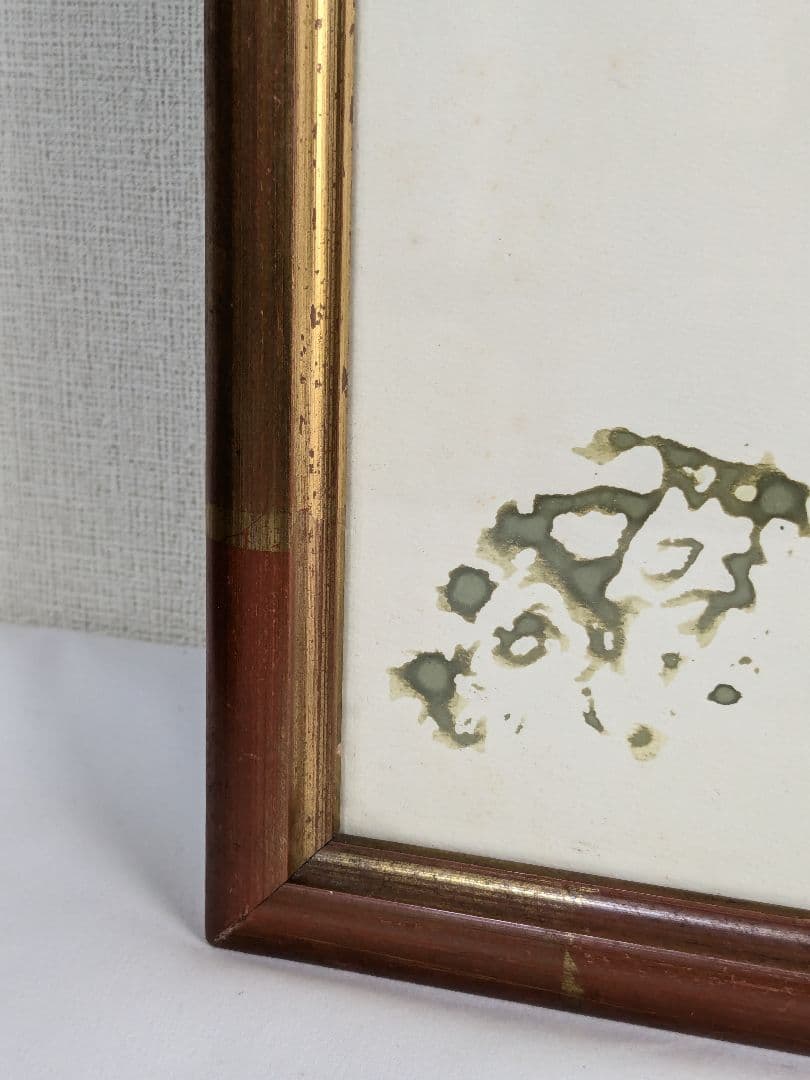 須田剋太 如心偈華厳経絵