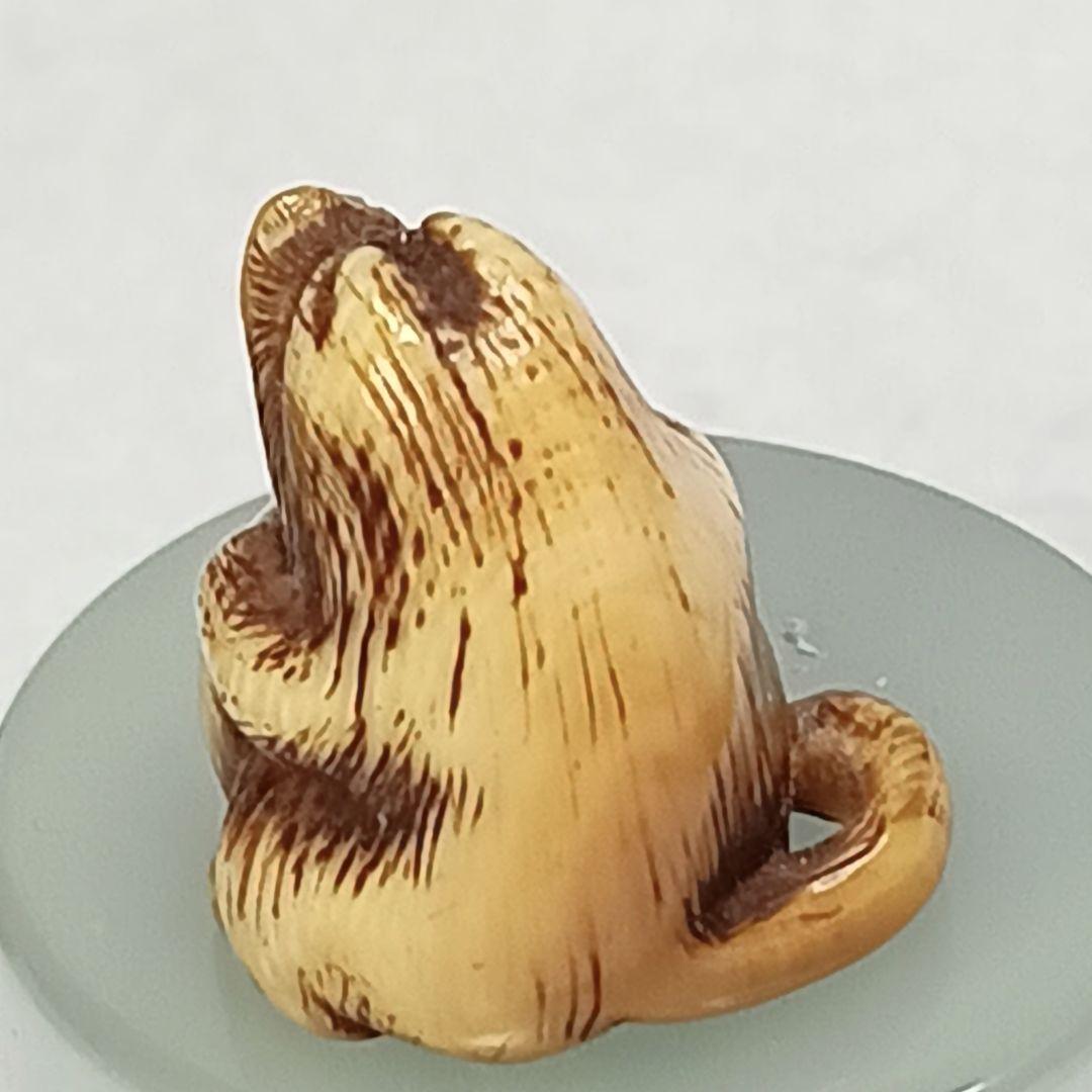 江戸時代 「たぬき 狸 」小さい 根付 織締？