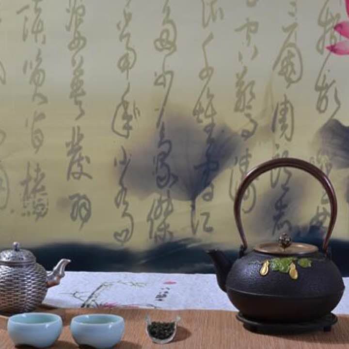 鉄器 急須 伝統工芸 手作り 鉄分補給 鉄瓶