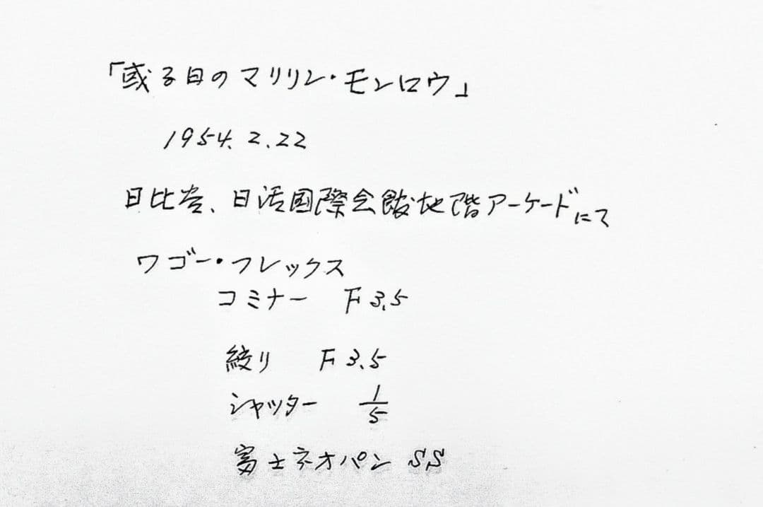 元値の半額！最終価格です【世界に３枚のみ】生写真 マリリン・モンロー