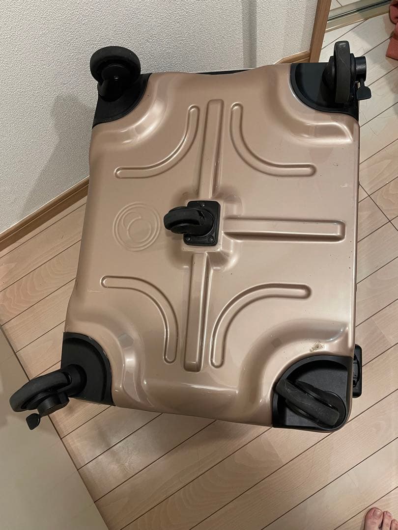 ルイアンドアグリ　Rui and Aguri 中型犬　ペットキャリー　ピンク