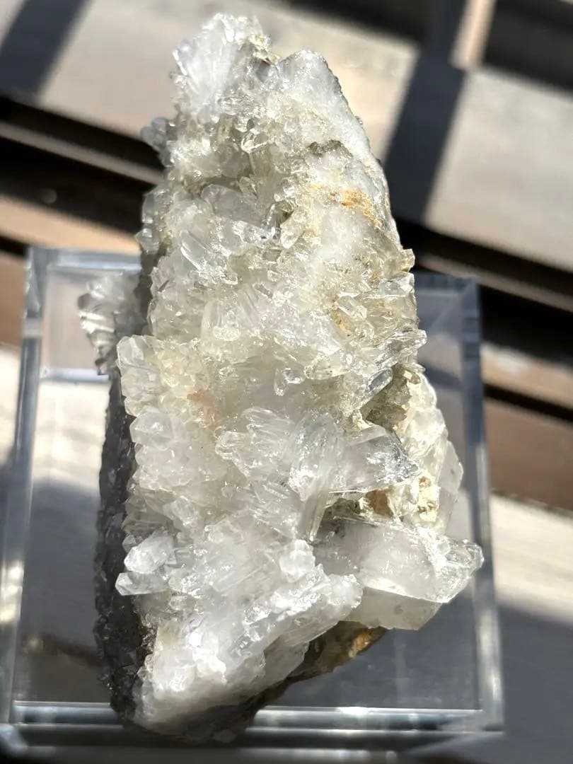 MGM【オールドストック・証明書あり】　メロディグリーンマイン