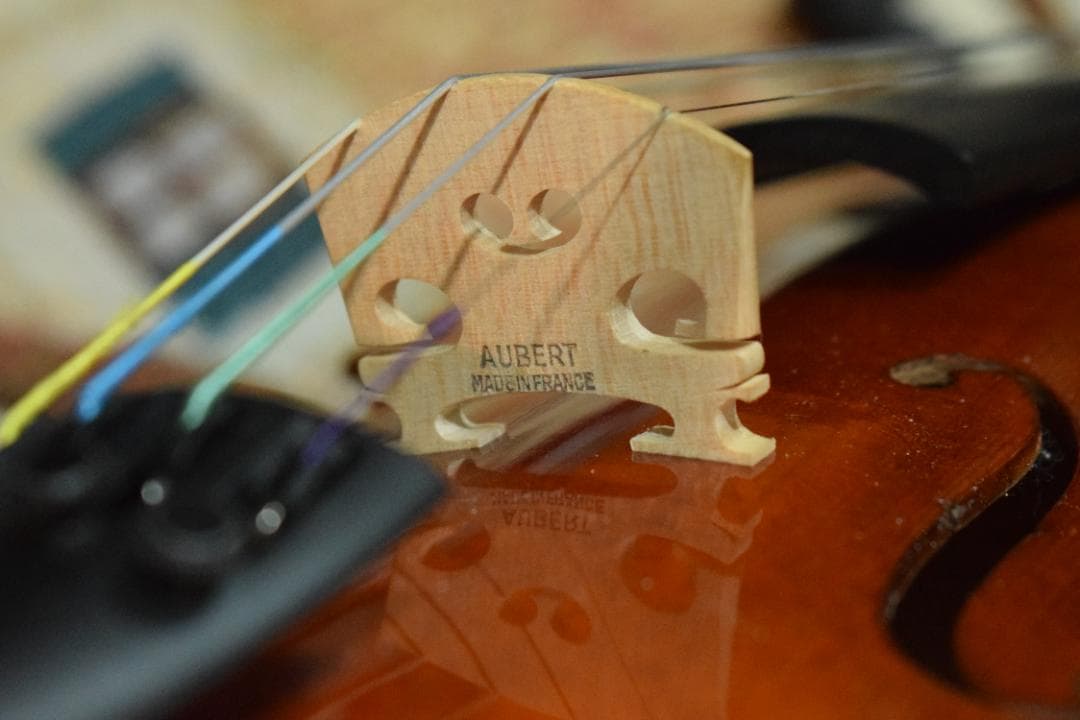 ARS Music 4/4 Violin Model:028 2009年製