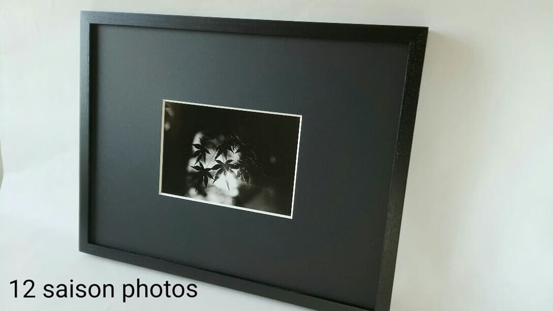 紅葉「い・ろ・は」 大切な想い出。秋