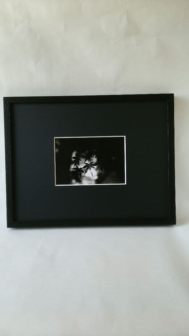 紅葉「い・ろ・は」 大切な想い出。秋