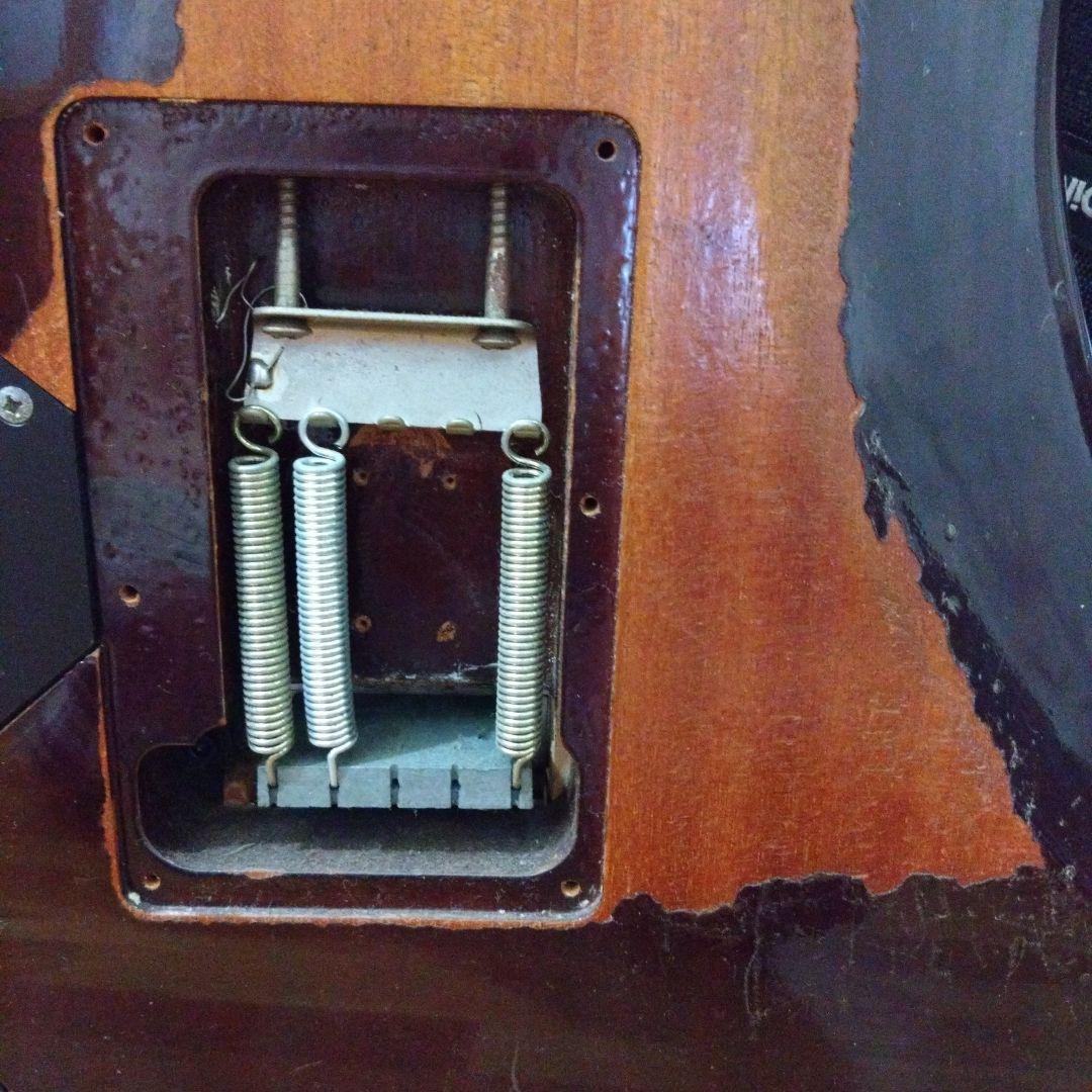 ibanez j custom　ギター　Schecter　ギグバッグ