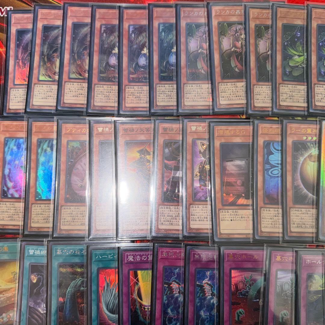 遊戯王引退品 構築済み蕾禍蟲惑魔デッキ スリーブ付き エクストラ付き