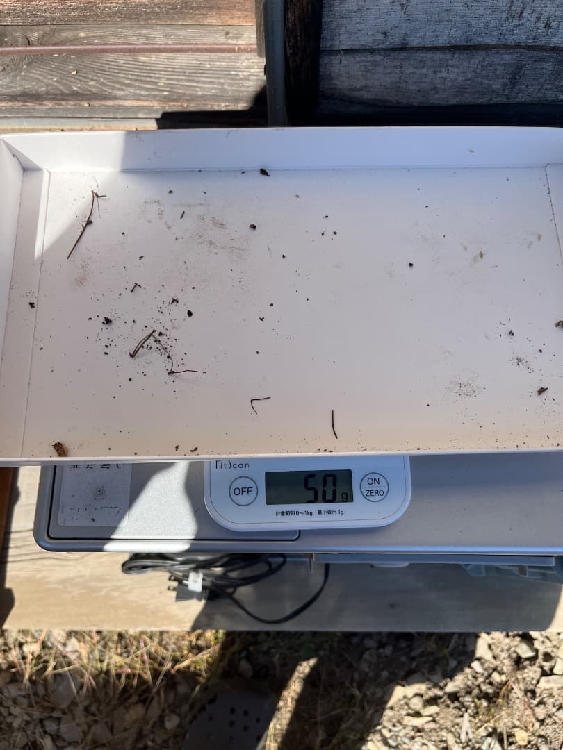 香茸　天然香茸　961グラム