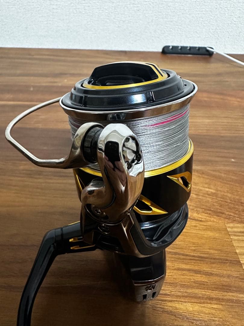 シマノ20 ステラ SW 6000HG