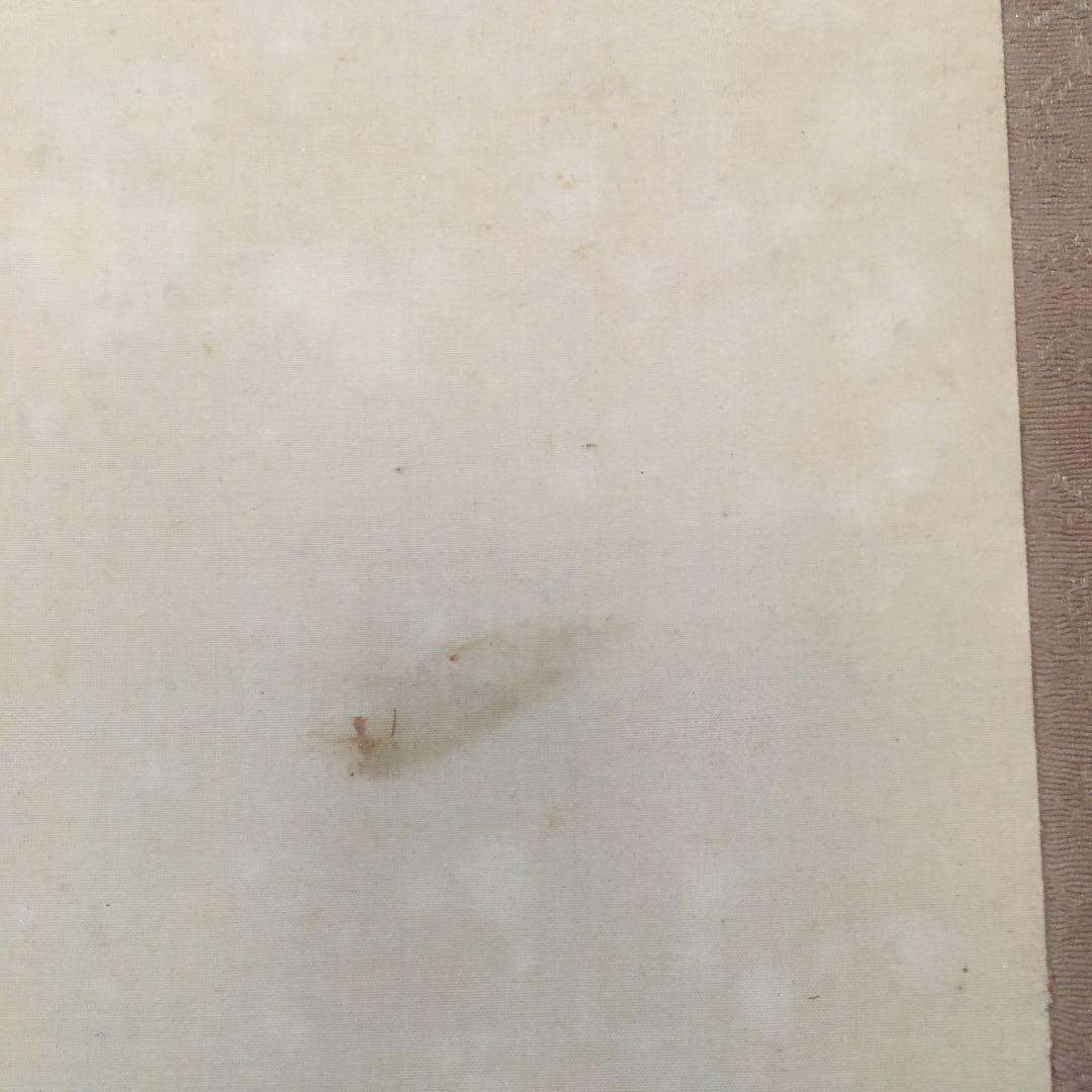 1074 左舟 薔薇 掛軸