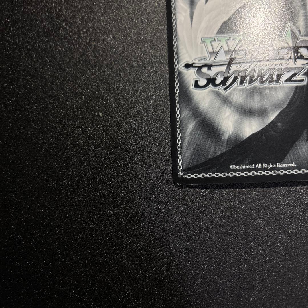 ペルソナ5 SP 神出鬼没 モルガナ/MONA モルガナ＆ゾロ/MONA SP