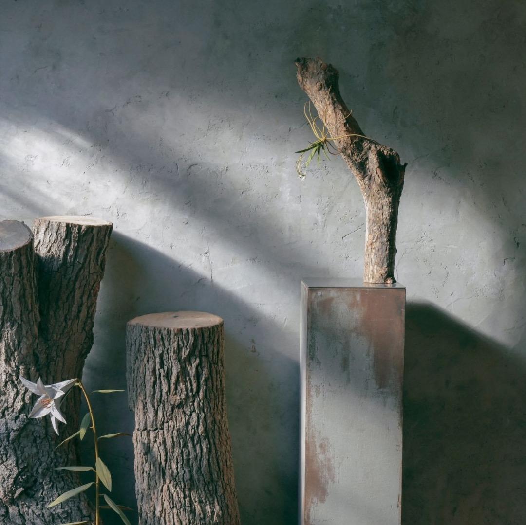 モリソン小林 morison kobayashi 金属のフウラン風蘭 オブジェ